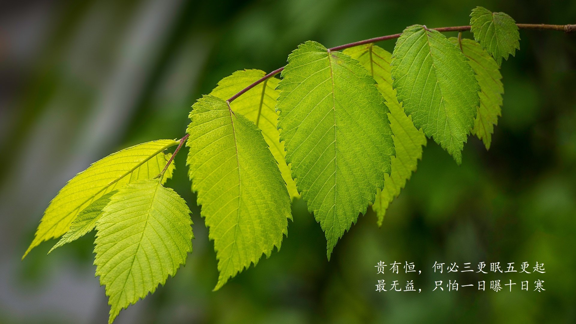 真丝面料有什么好处和坏处吗图片（真丝有什么好处和不好的）